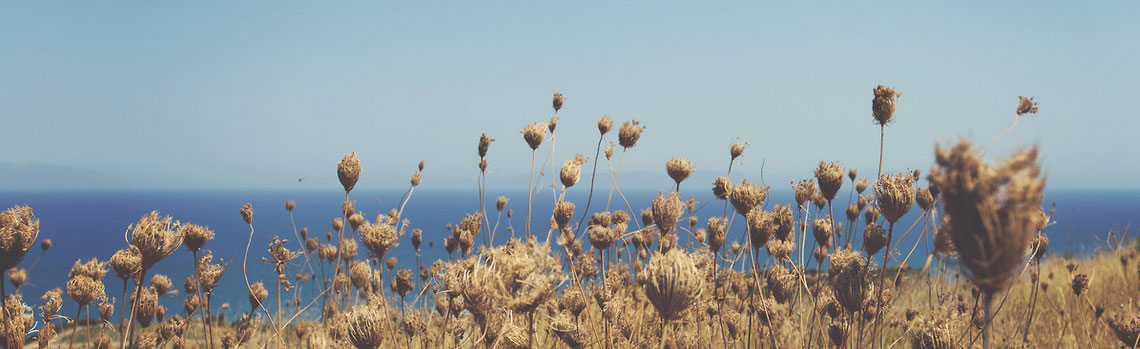 快速协议转换的网络ddos攻击软件